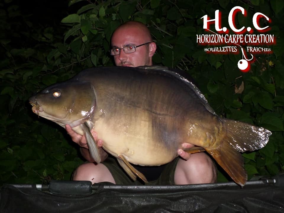 CEDRIC HAVY - CONSULTANT HCC