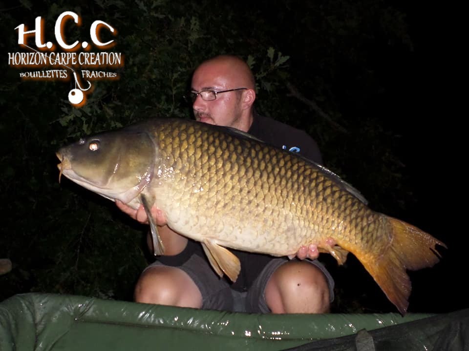 CEDRIC HAVY - CONSULTANT HCC