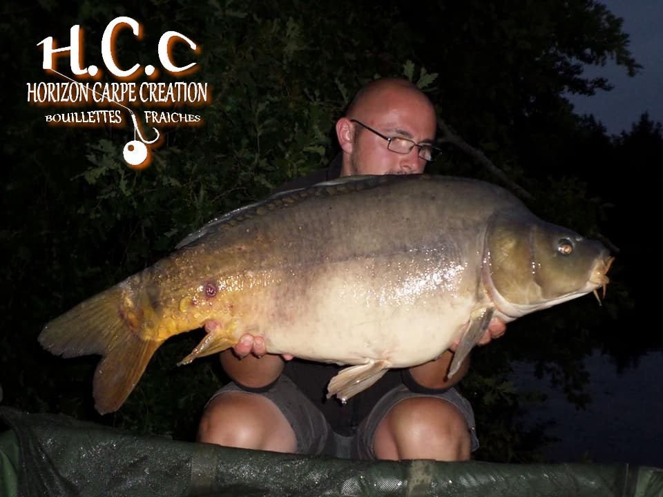 CEDRIC HAVY - CONSULTANT HCC