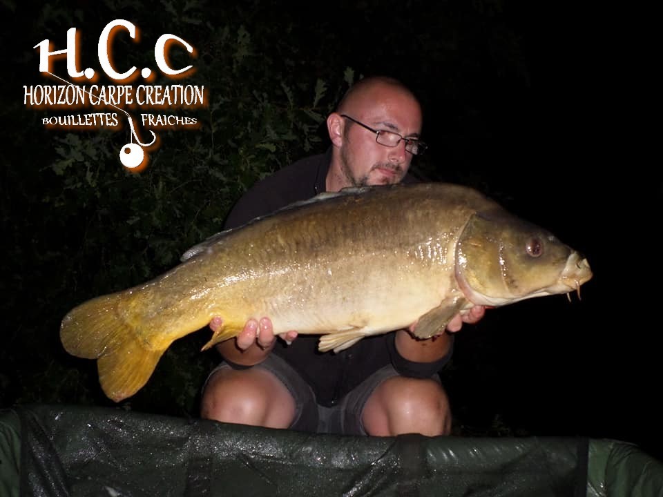 CEDRIC HAVY - CONSULTANT HCC