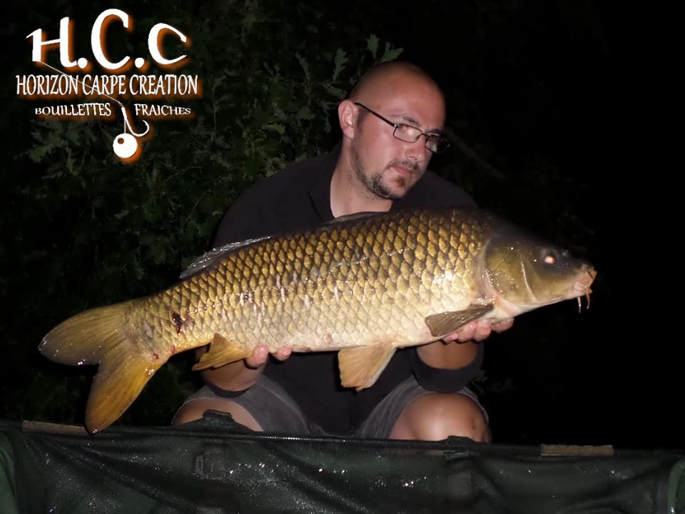 CEDRIC HAVY - CONSULTANT HCC