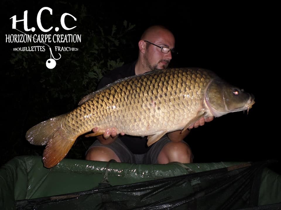 CEDRIC HAVY - CONSULTANT HCC