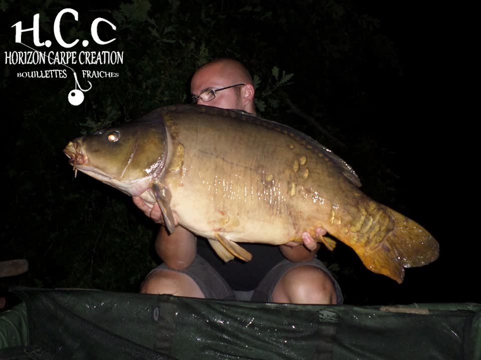 CEDRIC HAVY - CONSULTANT HCC
