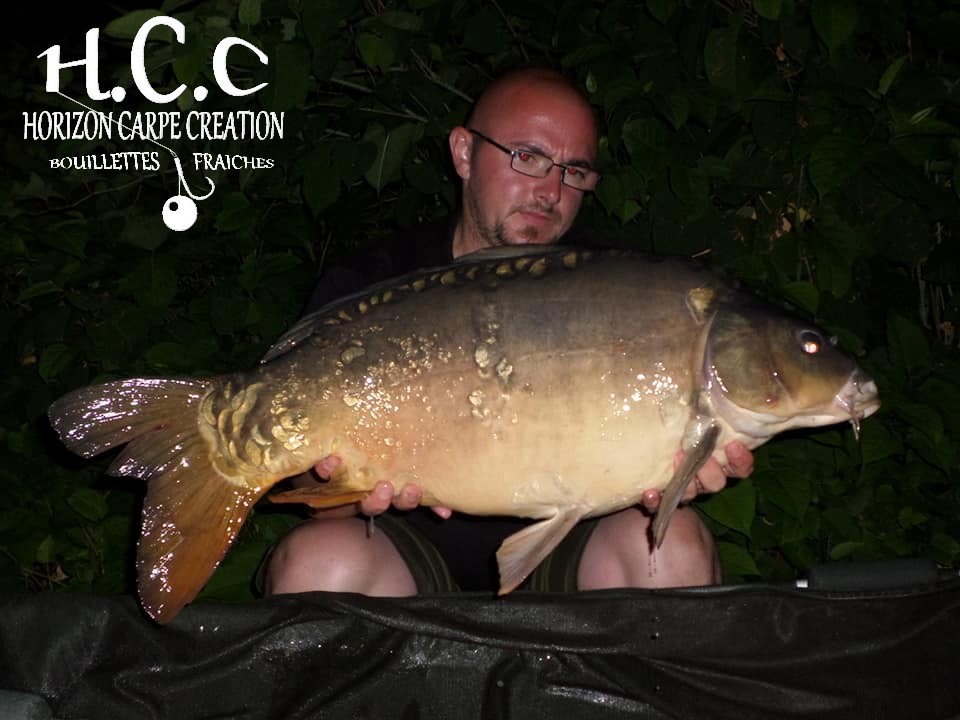 CEDRIC HAVY - CONSULTANT HCC