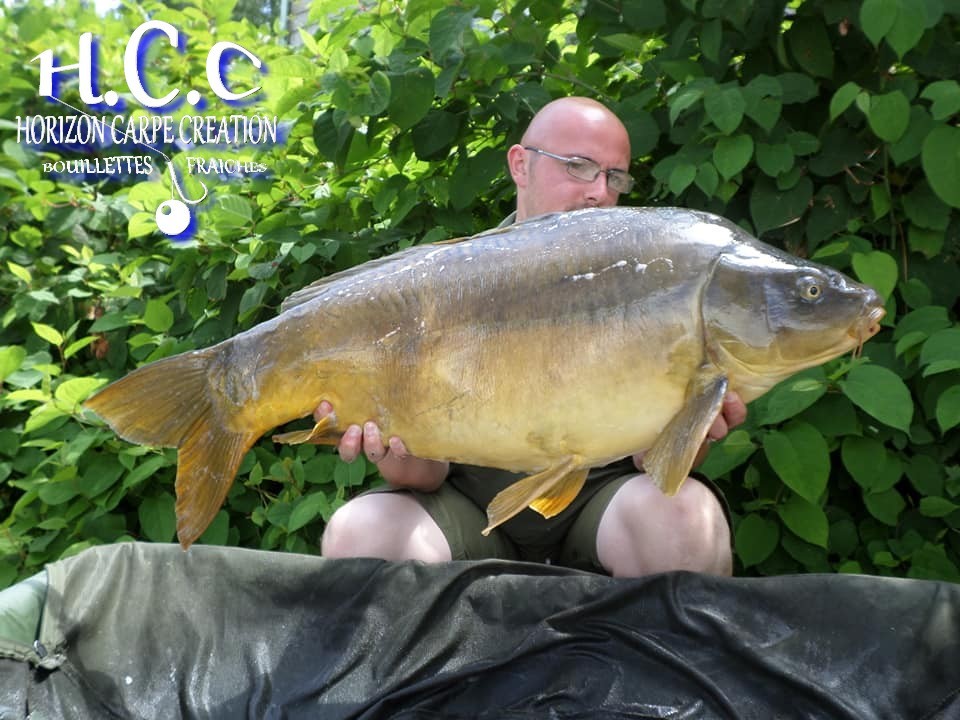 CEDRIC HAVY - CONSULTANT HCC
