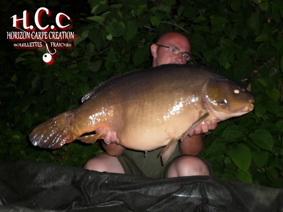 CEDRIC HAVY - CONSULTANT HCC