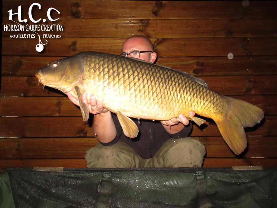 CEDRIC HAVY - CONSULTANT HCC