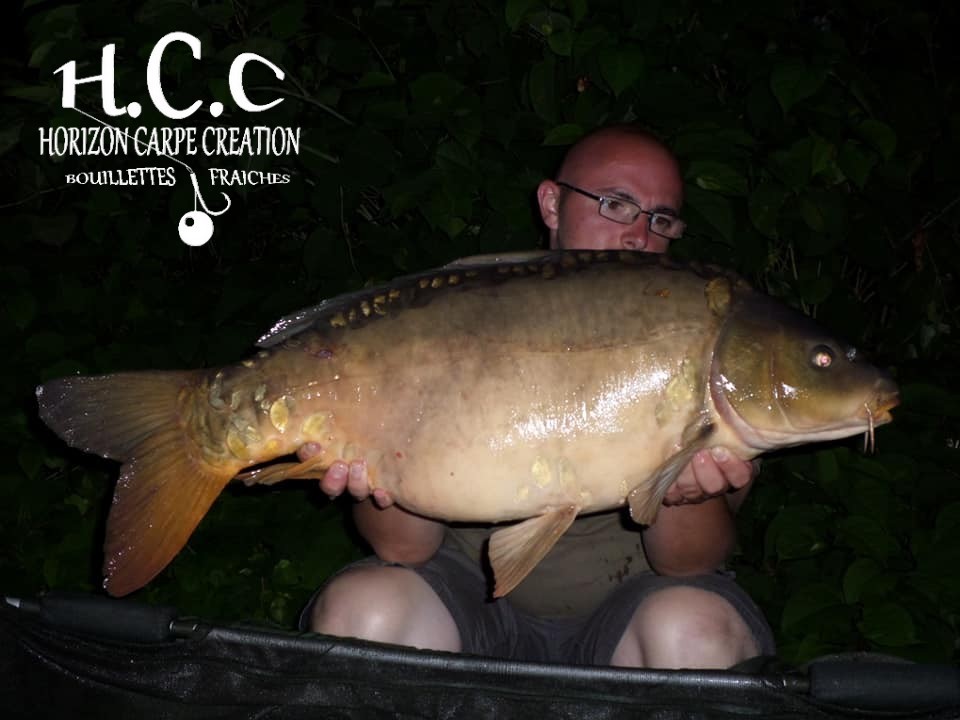 CEDRIC HAVY - CONSULTANT HCC