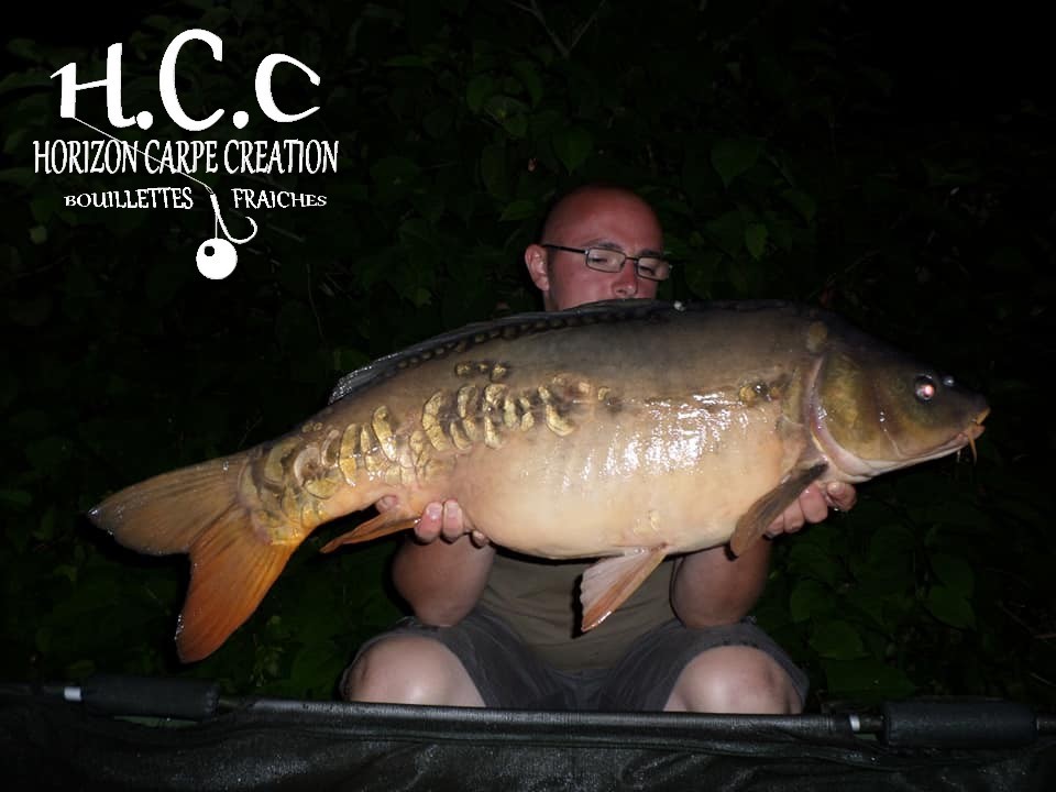 CEDRIC HAVY - CONSULTANT HCC