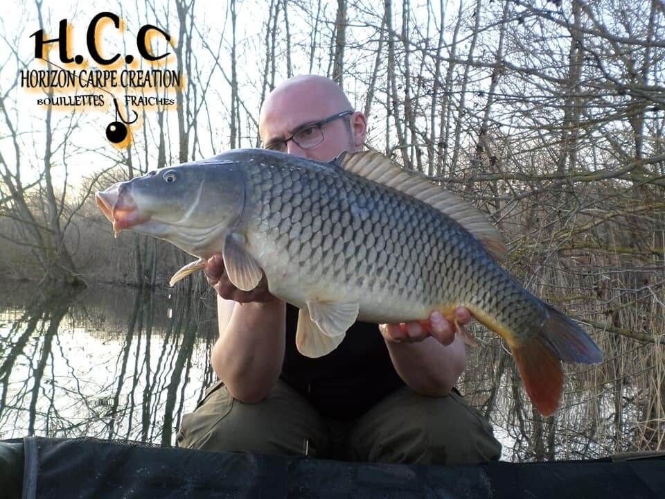 CEDRIC HAVY - CONSULTANT HCC