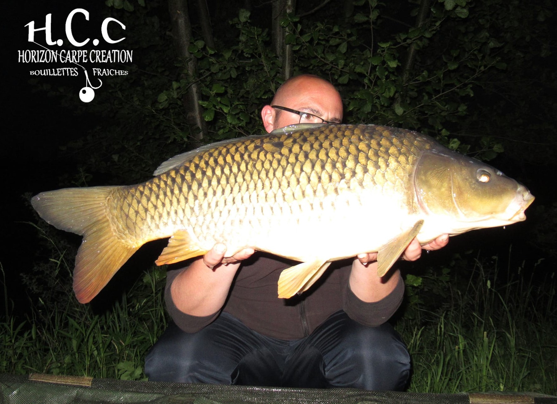 CEDRIC HAVY - CONSULTANT HCC