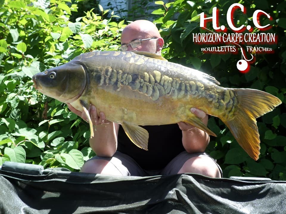 CEDRIC HAVY - CONSULTANT HCC