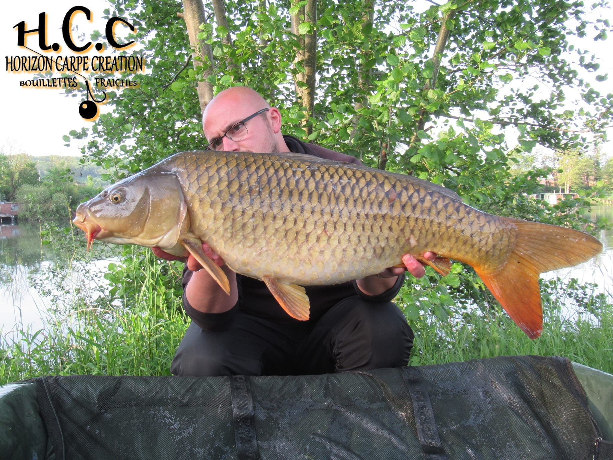 CEDRIC HAVY - CONSULTANT HCC