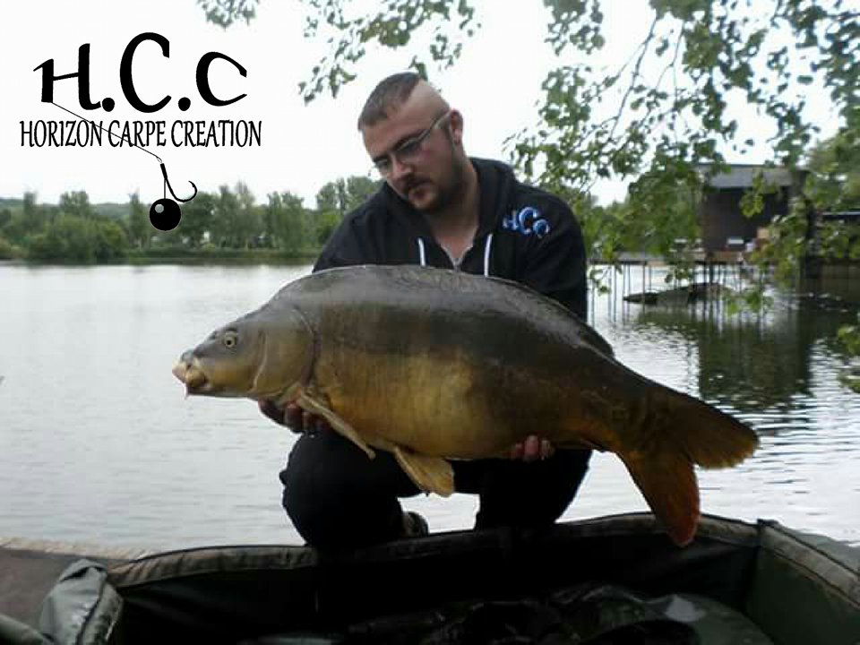 CEDRIC HAVY - CONSULTANT HCC