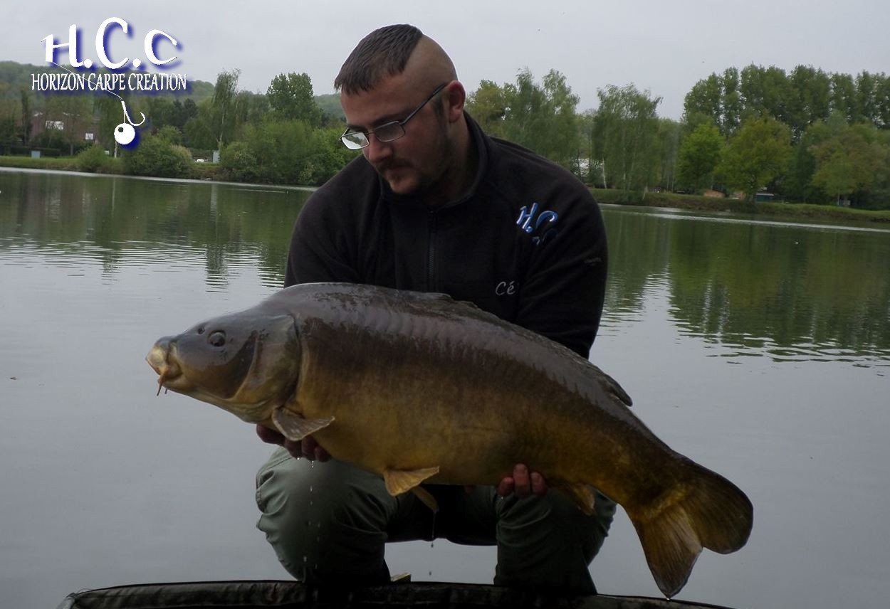 CEDRIC HAVY - CONSULTANT HCC