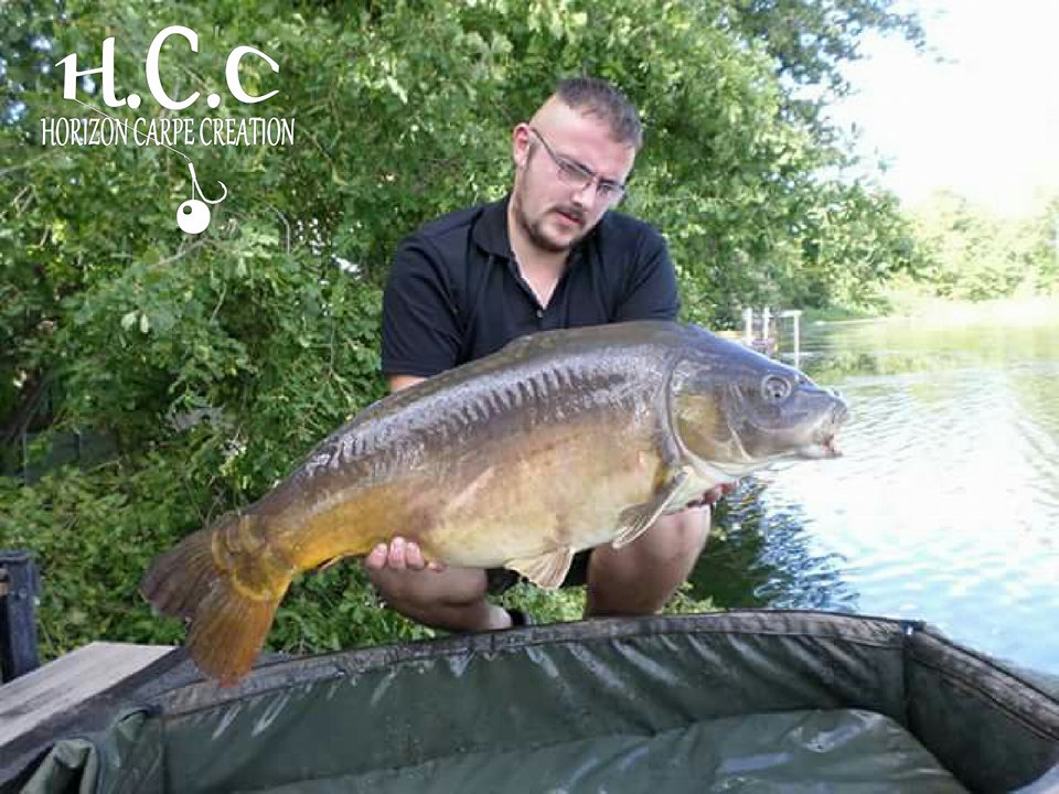 CEDRIC HAVY - CONSULTANT HCC