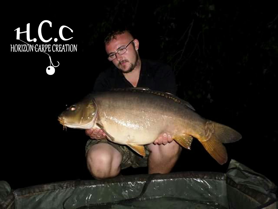 CEDRIC HAVY - CONSULTANT HCC