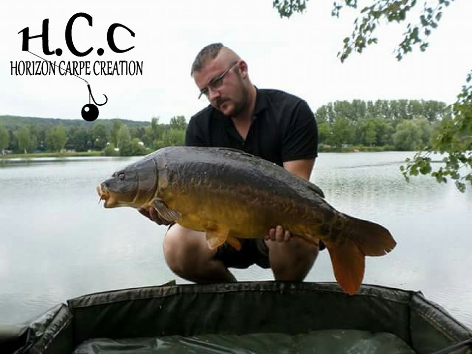 CEDRIC HAVY - CONSULTANT HCC