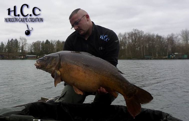 CEDRIC HAVY - CONSULTANT HCC