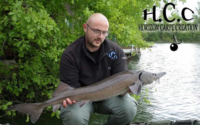 CEDRIC HAVY - TEAM HCC HAUTS DE FRANCE