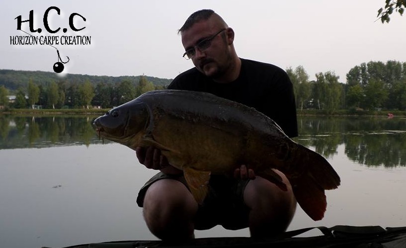 CEDRIC HAVY - CONSULTANT HCC