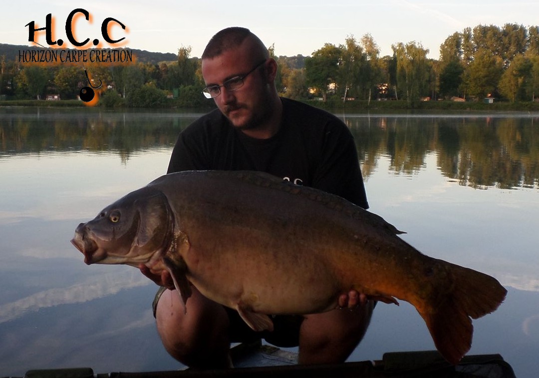 CEDRIC HAVY - CONSULTANT HCC
