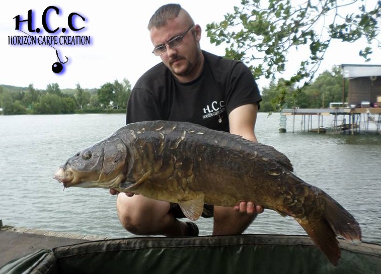 CEDRIC HAVY - CONSULTANT HCC