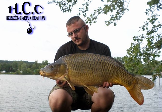 CEDRIC HAVY - CONSULTANT HCC