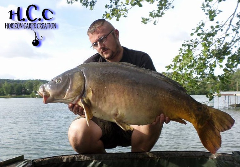 CEDRIC HAVY - CONSULTANT HCC