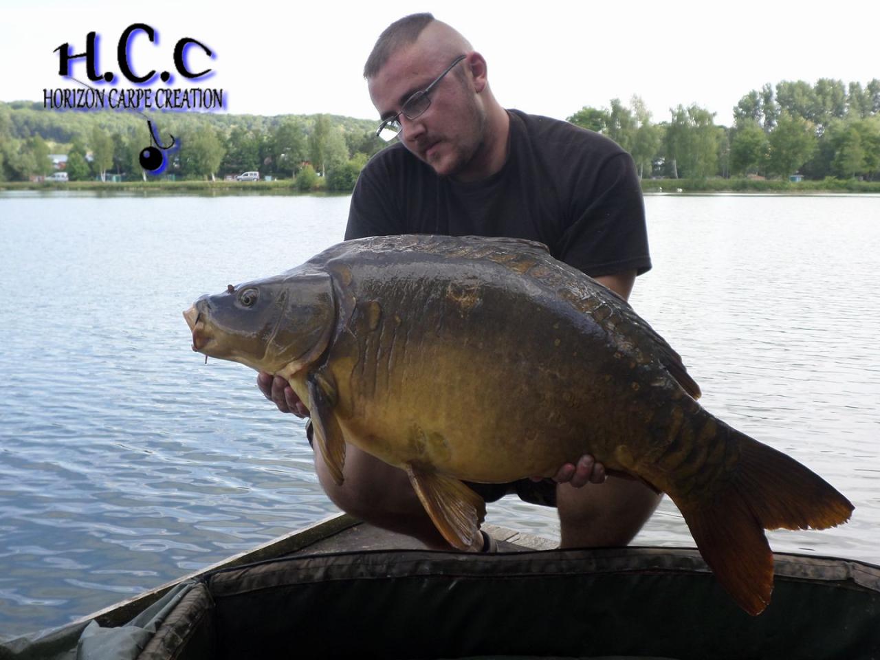 CEDRIC HAVY - CONSULTANT HCC