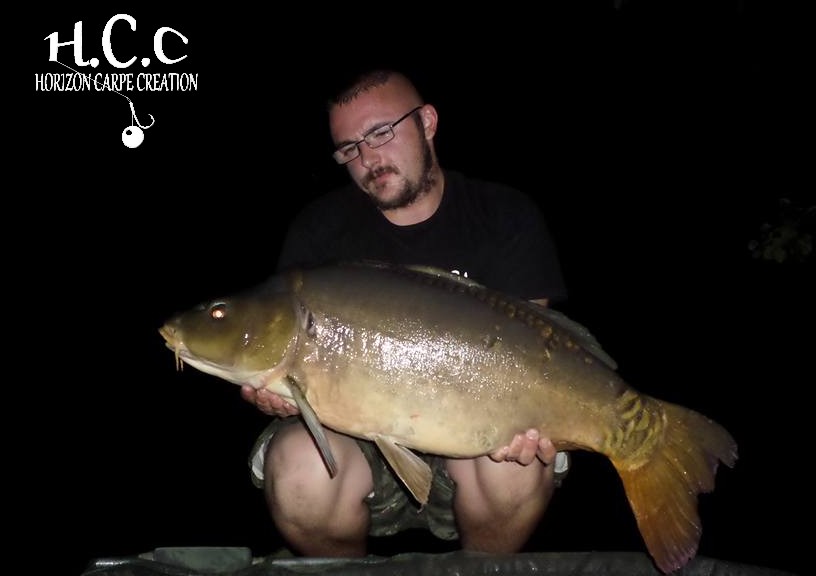 CEDRIC HAVY - CONSULTANT HCC