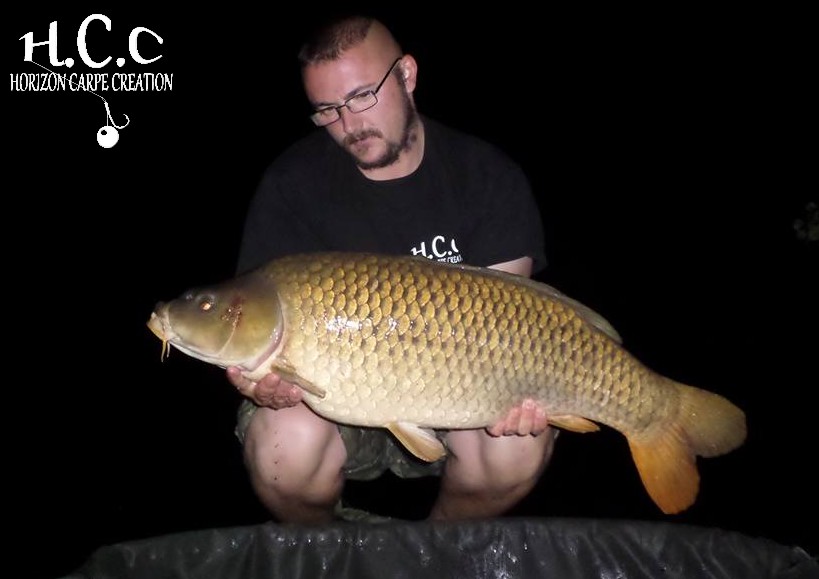 CEDRIC HAVY - CONSULTANT HCC