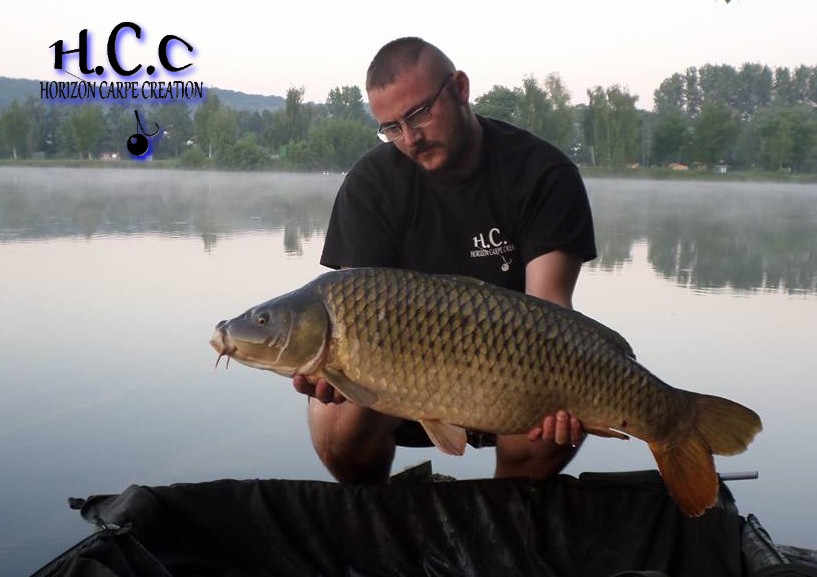 CEDRIC HAVY - CONSULTANT HCC