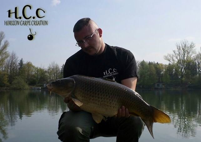 CEDRIC HAVY - CONSULTANT HCC
