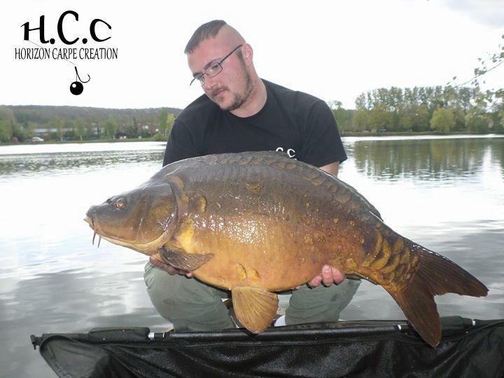 CEDRIC HAVY - CONSULTANT HCC