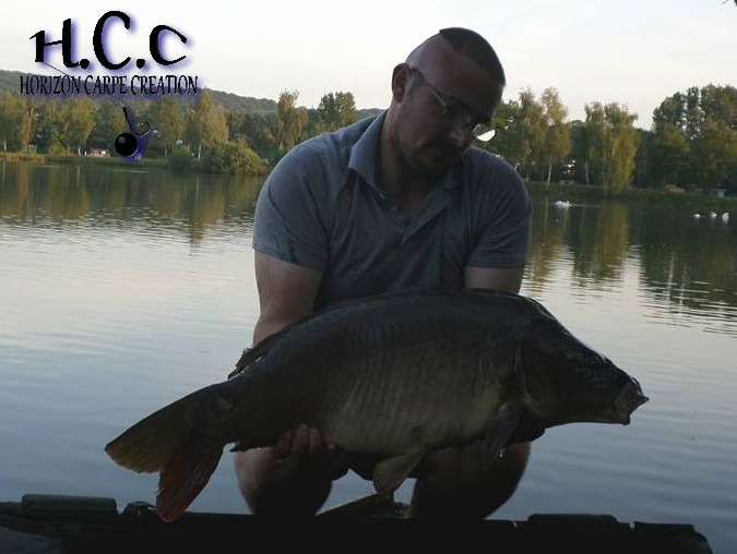 CEDRIC HAVY - CONSULTANT HCC