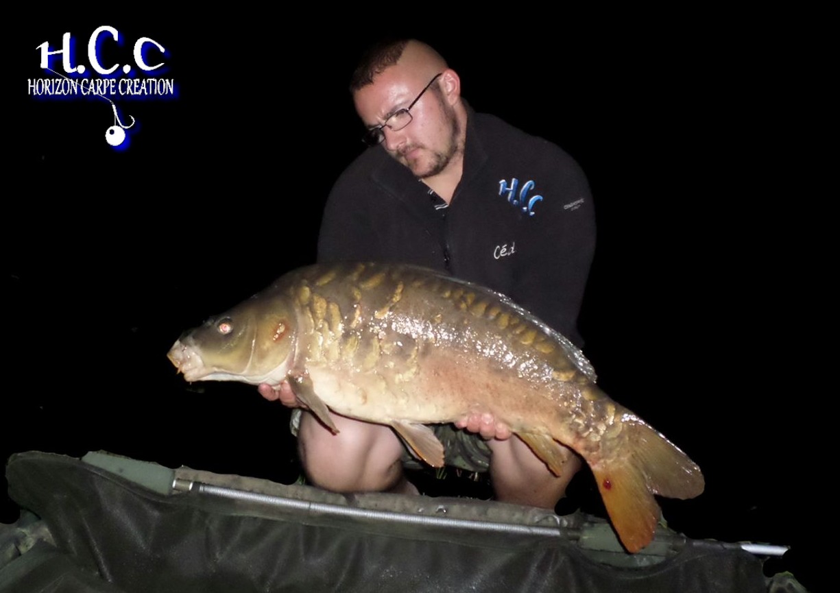 CEDRIC HAVY - CONSULTANT HCC