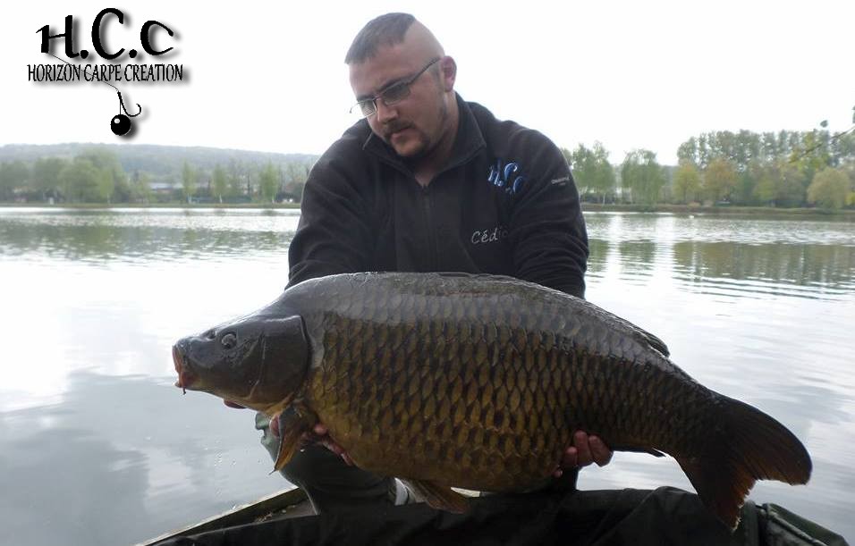CEDRIC HAVY - CONSULTANT HCC