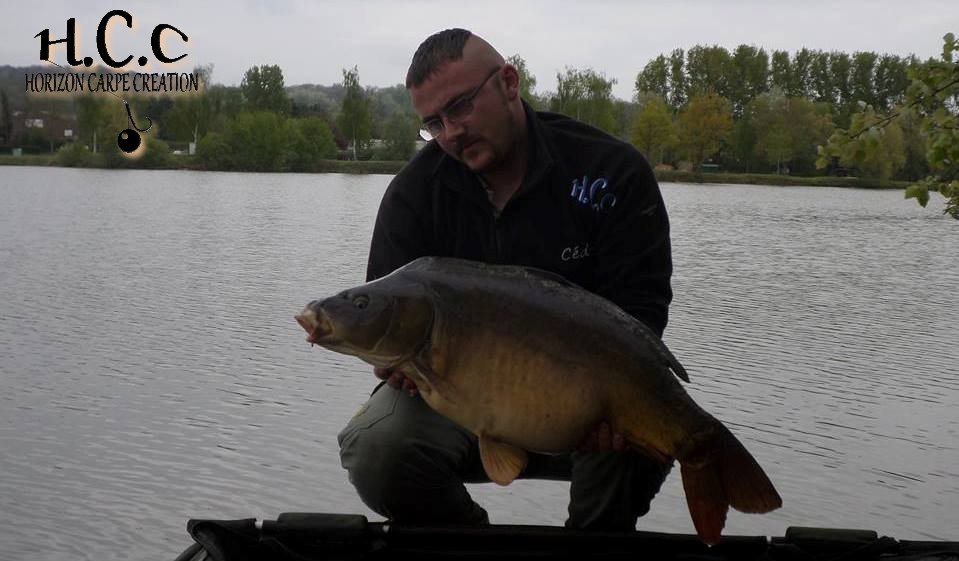 CEDRIC HAVY - CONSULTANT HCC