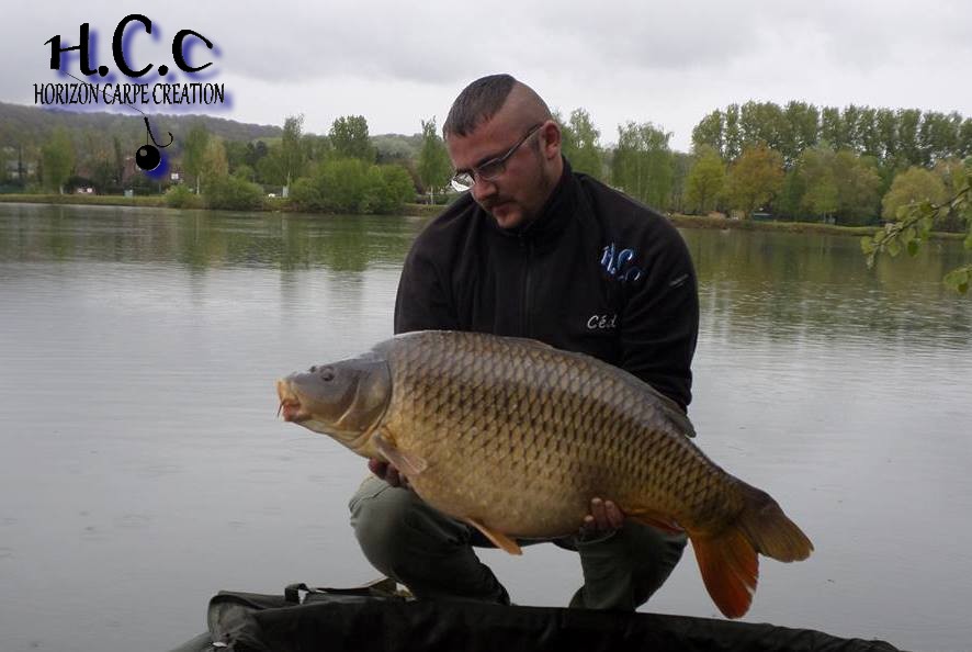 CEDRIC HAVY - CONSULTANT HCC