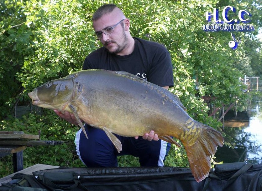 CEDRIC HAVY - CONSULTANT HCC