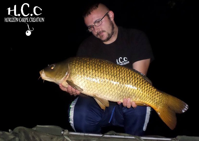 CEDRIC HAVY - CONSULTANT HCC