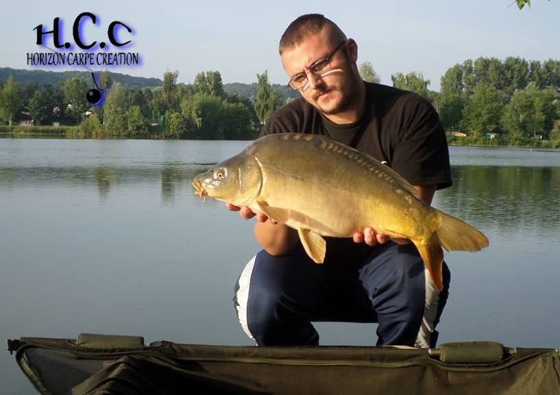 CEDRIC HAVY - CONSULTANT HCC