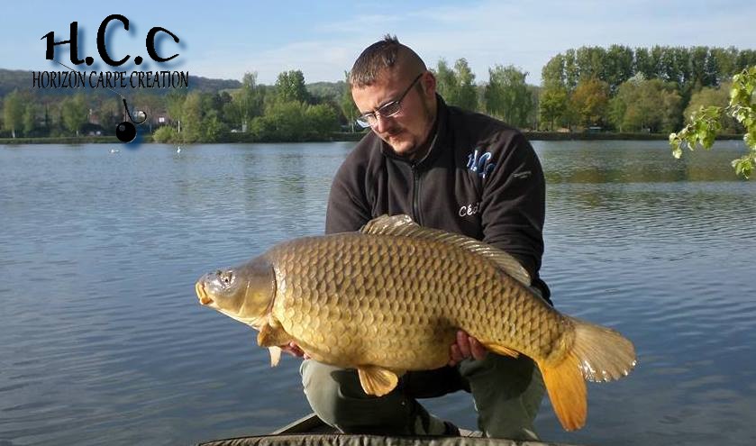 CEDRIC HAVY - CONSULTANT HCC