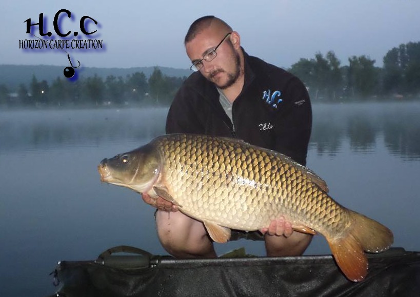 CEDRIC HAVY - CONSULTANT HCC