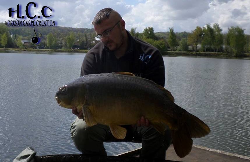 CEDRIC HAVY - CONSULTANT HCC