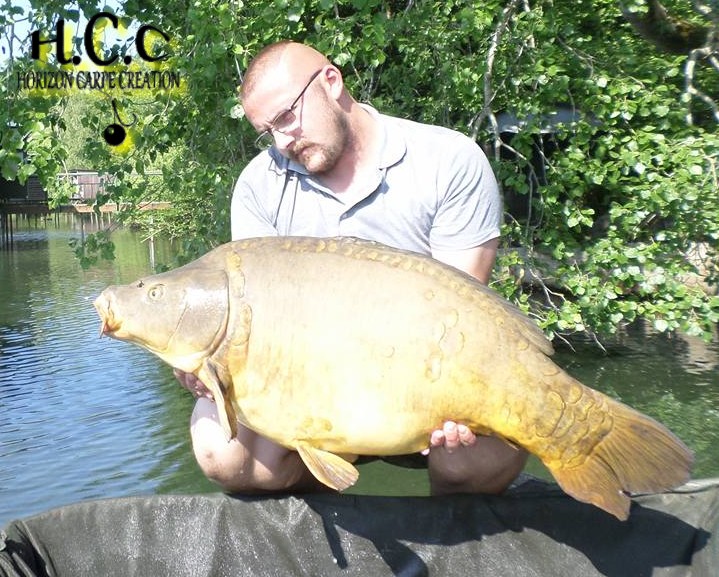 CEDRIC HAVY - CONSULTANT HCC