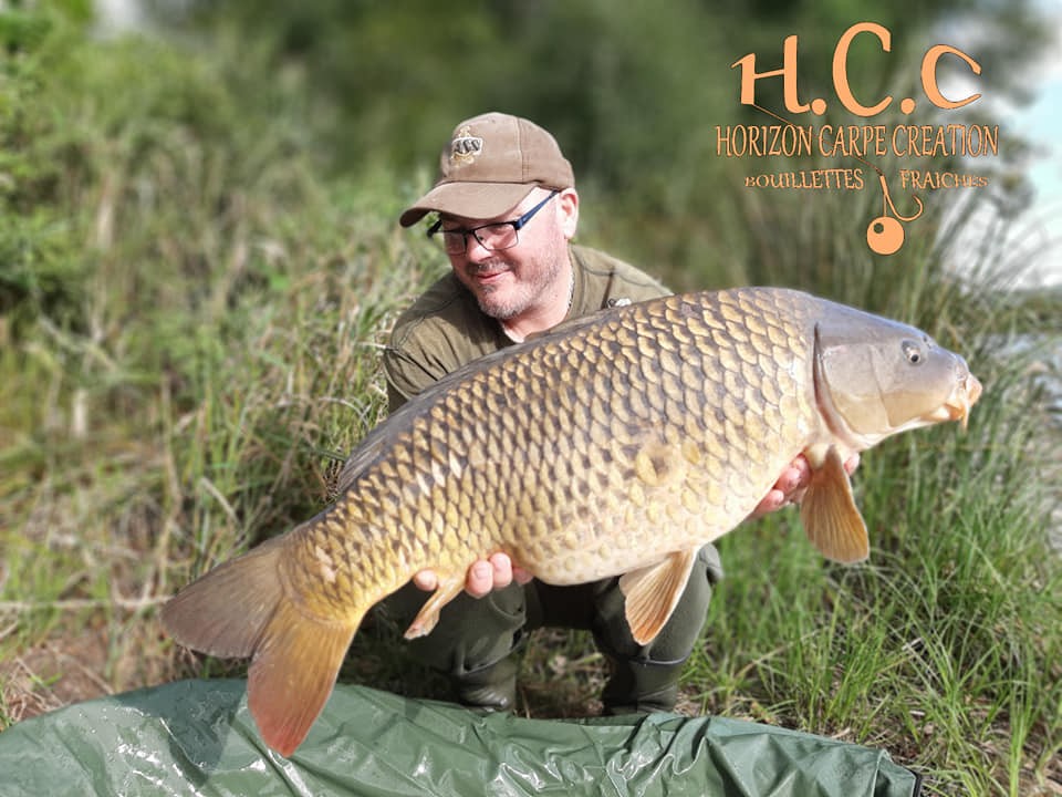 CEDRIC LAMBERT - TESTEUR HCC