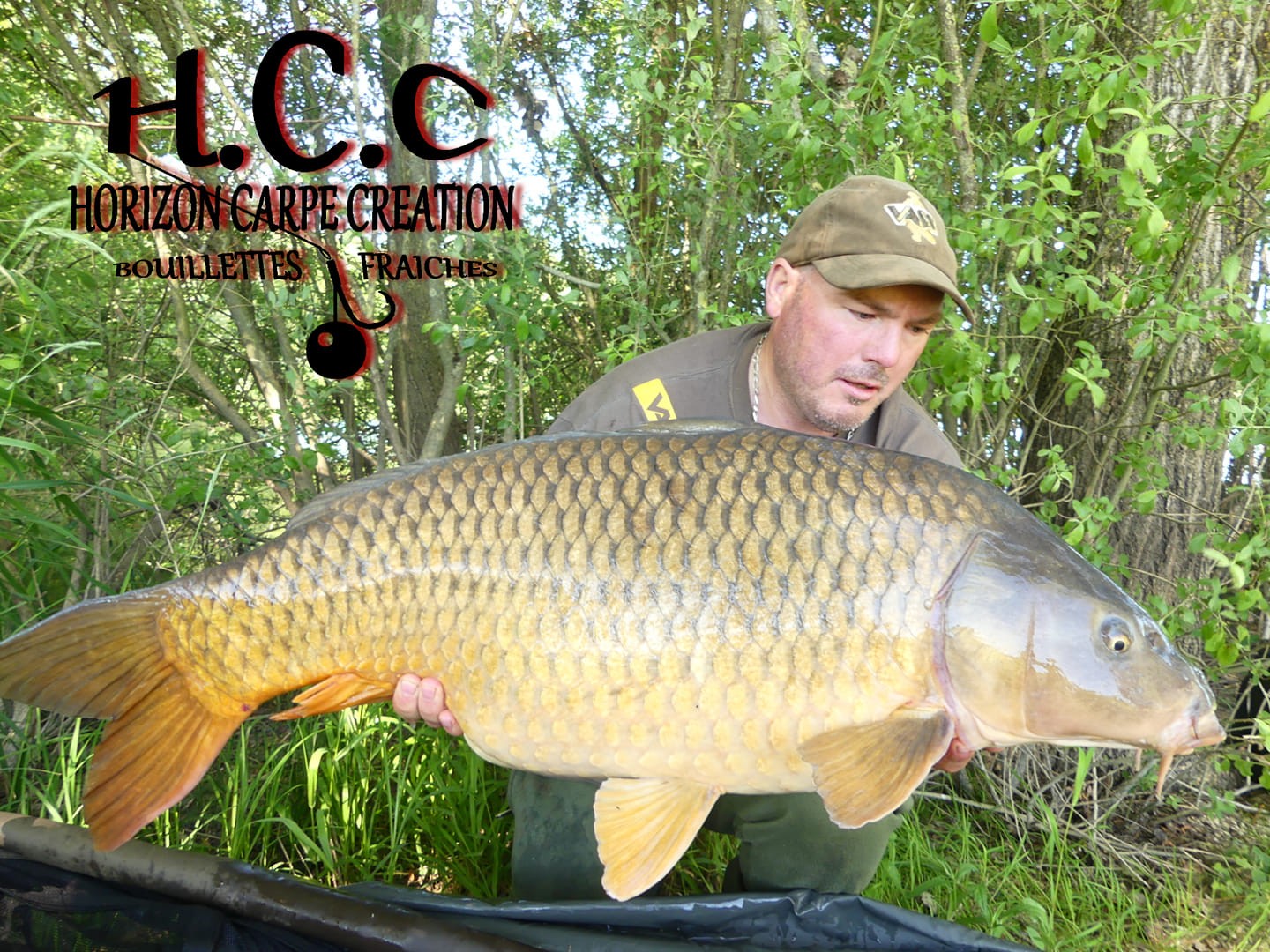 CEDRIC LAMBERT - TESTEUR HCC