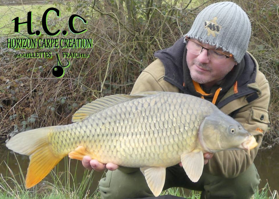 CEDRIC LAMBERT - TESTEUR HCC